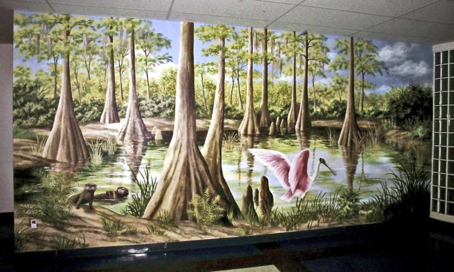  Florida Everglades  Mural - Mural Mural On The Wall, Inc.